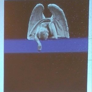 Meet your Posher, Dennis